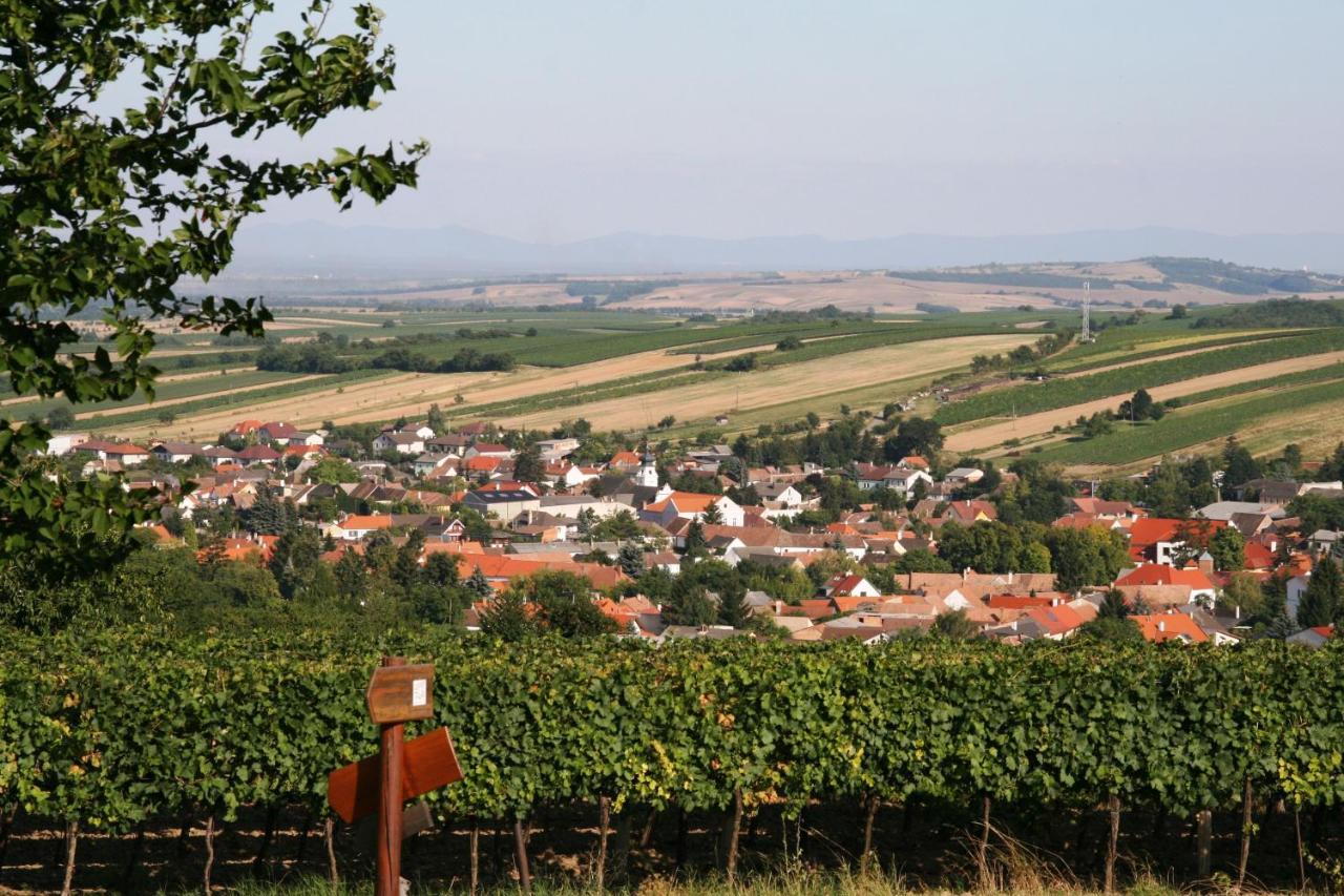 Weingut Zur Schlafmuetze Hotel Herrnbaumgarten Buitenkant foto