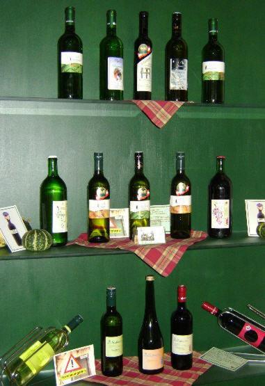 Weingut Zur Schlafmuetze Hotel Herrnbaumgarten Buitenkant foto